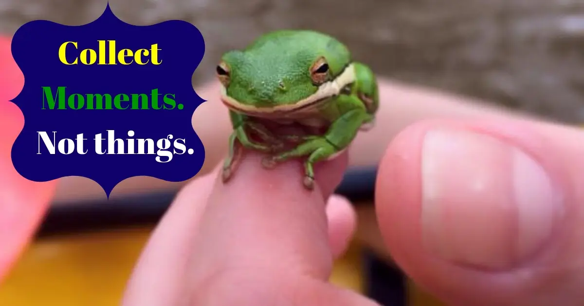 A small tree frog is perched on a man's hand with a cute grin on its face.