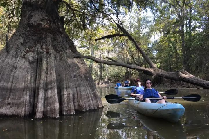 Honey Island Swamp / Pearl River Area