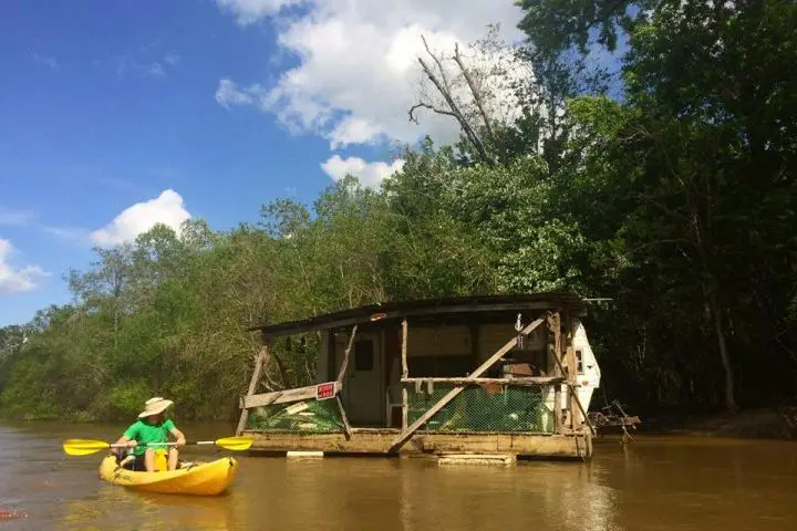 Honey Island Swamp Kayak Tours