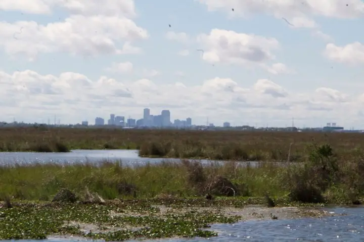 New Orleans Kayak Rental: Self Guided Swamp and Bayou Experience