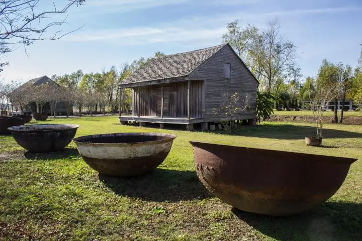 New Orleans Whitney Plantation & Swamp Kayak Tour Combo