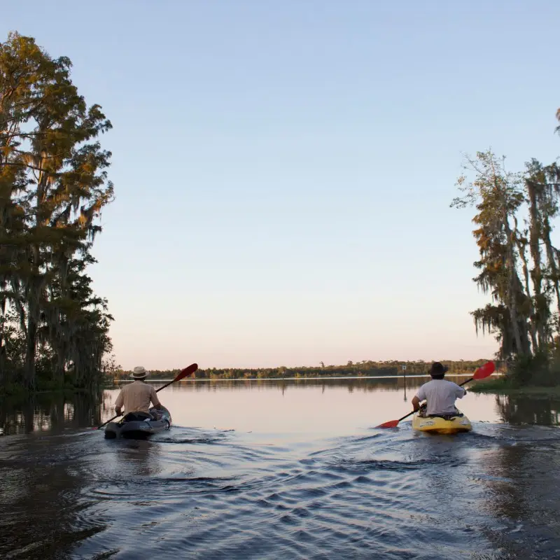 kayaking in the swamp