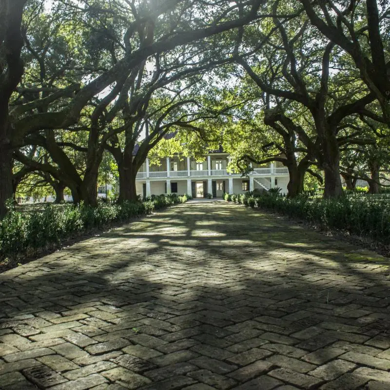 Whitney Plantation Tour