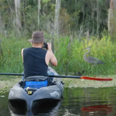 Manchac and Maurepas Swamp Tour