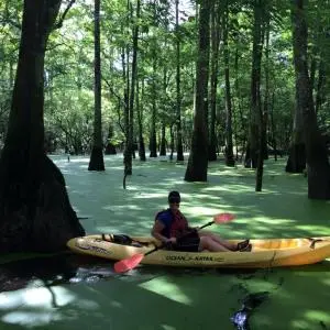 Bayou Bienvenue